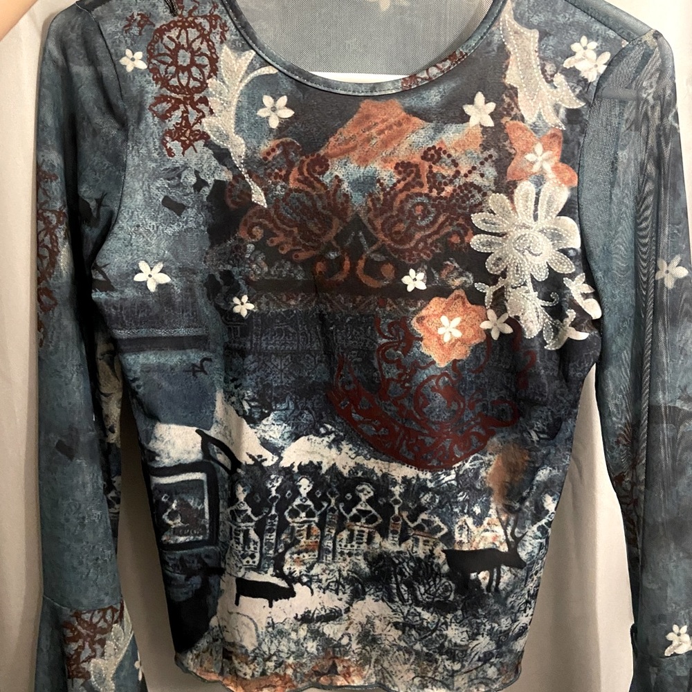 Cute sheer long sleeve top ｡･*･